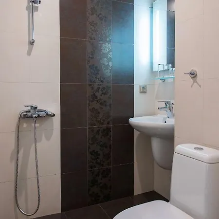 Zlaten Family Hotel- Monument Of Cultural Significance Хотел Рожен